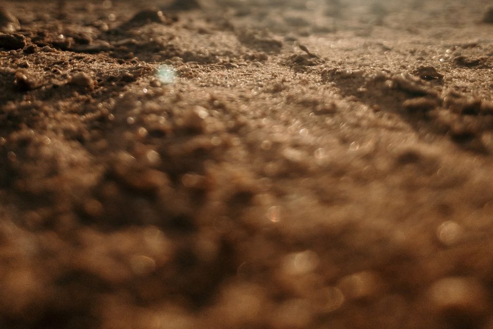 Bruno braga pj7ndlymkq8 unsplash