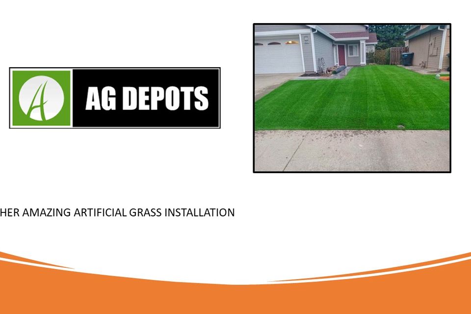 Top Artifical Grass company in Sacramento 