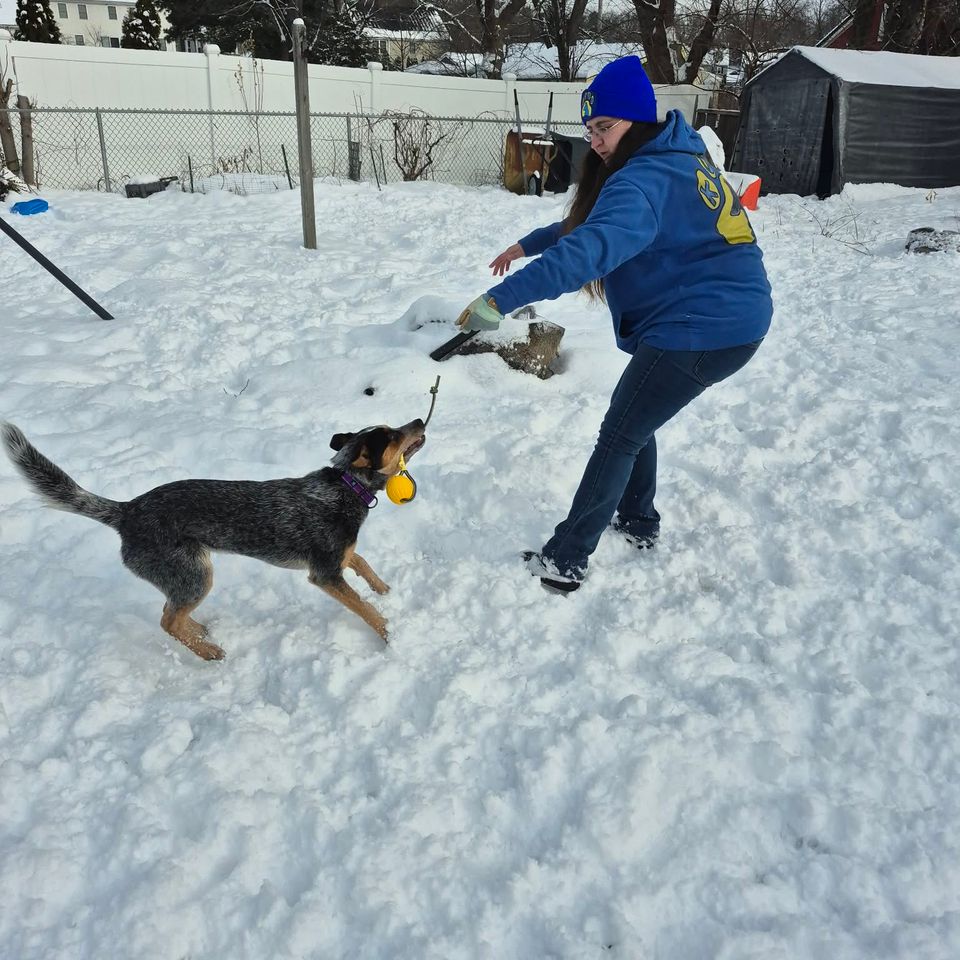 Messenger creation 0d4cad82 ad2d 4241 951b 56e97bbbb472