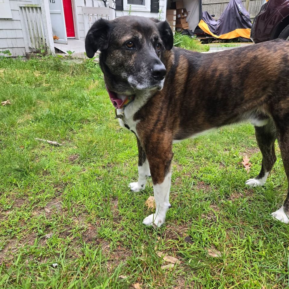 Fb img 1769435048344