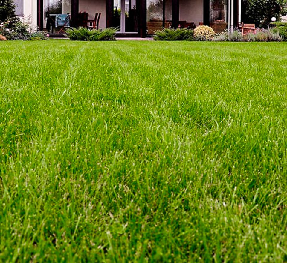 Lawn maintenance 2