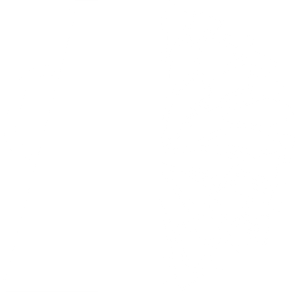 School   cheer 14white