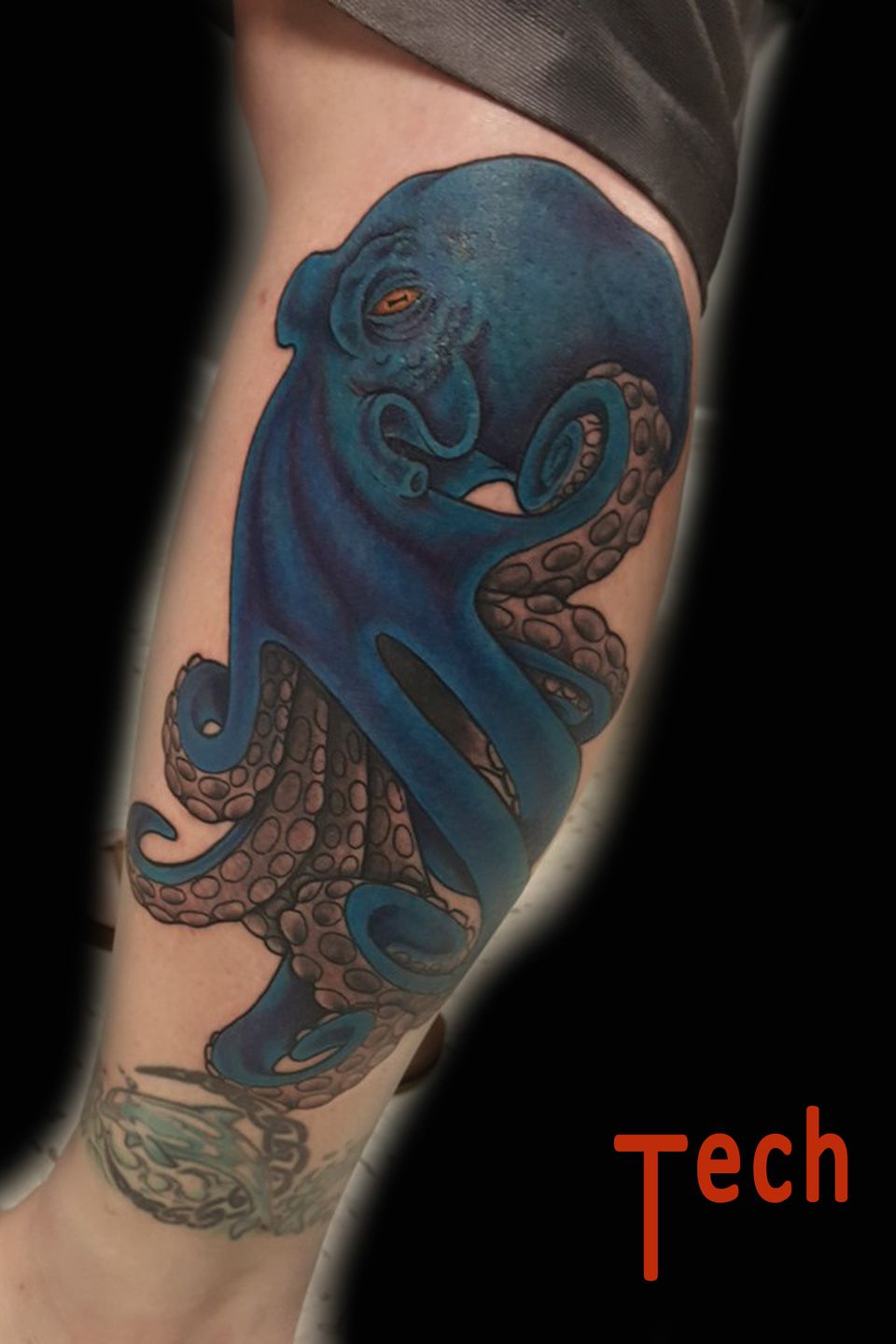 Tech octopus