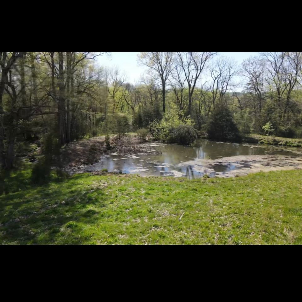 1d359c44 1268 4319 8db1 6ef632477474