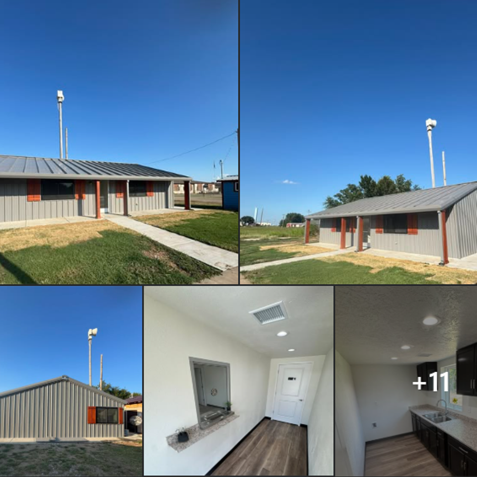 Agra Town Hall renovation project - Kaleidoscope Construction