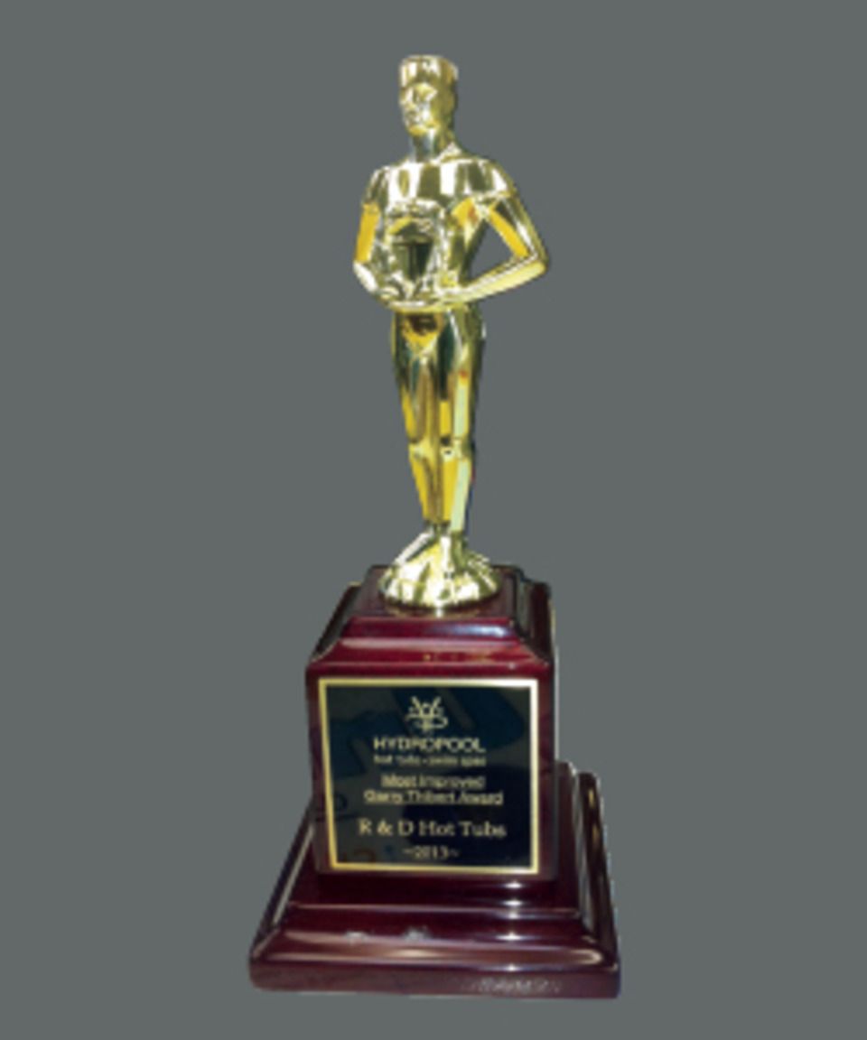 Rd hot tubs awards20140402 16693 1o0sk5t