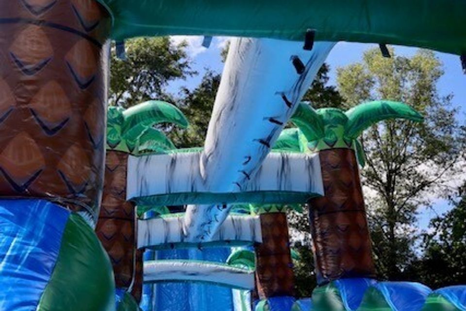 Tropical plunge7