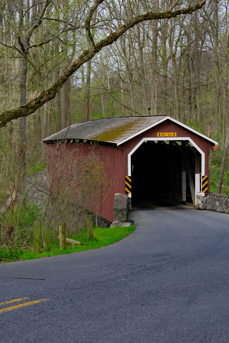 Pexels raymond eichelberger 3213541 11890461