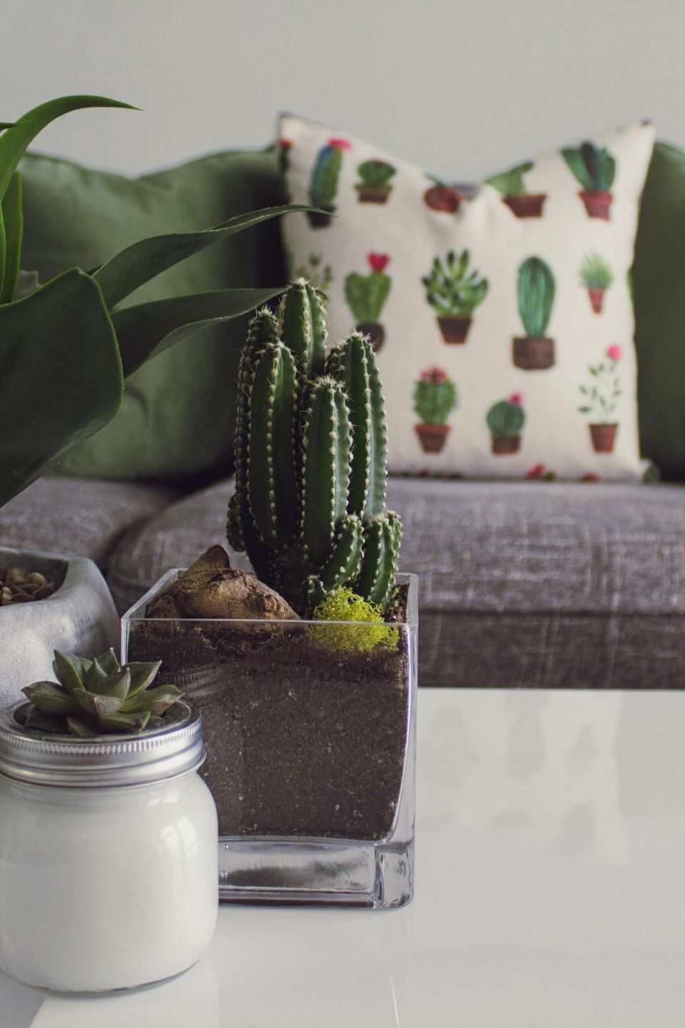 Designecologist csvpdj60e1a unsplash