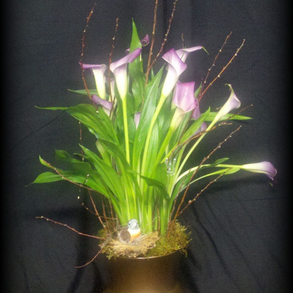 Bloom 10220180611 18520 ngjgw5