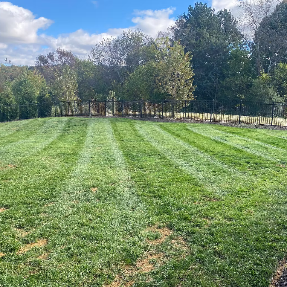 Mowing landscaping johnson city49