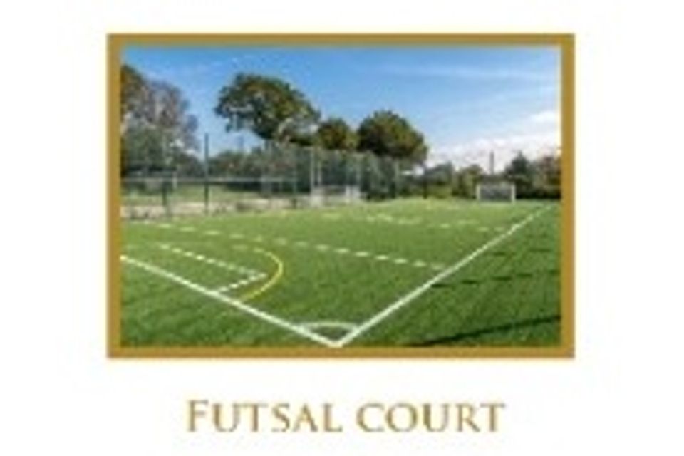 30. futsal court