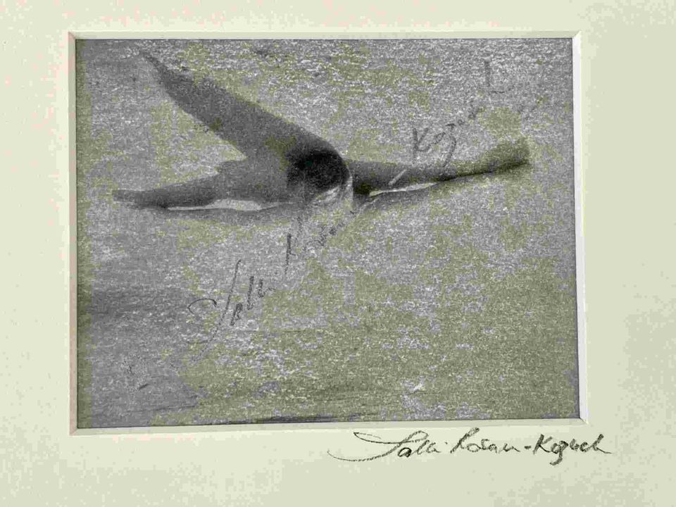 Self portrait bird platinum