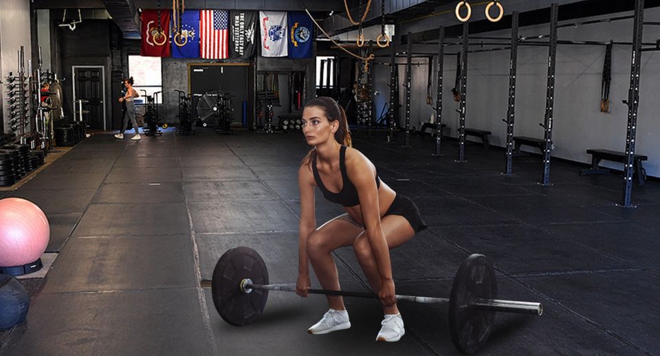Next level training website (3)