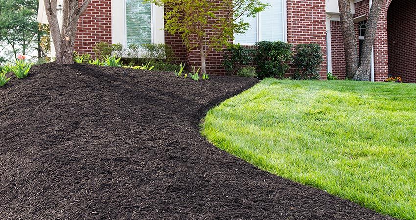 Appleton mulch installation