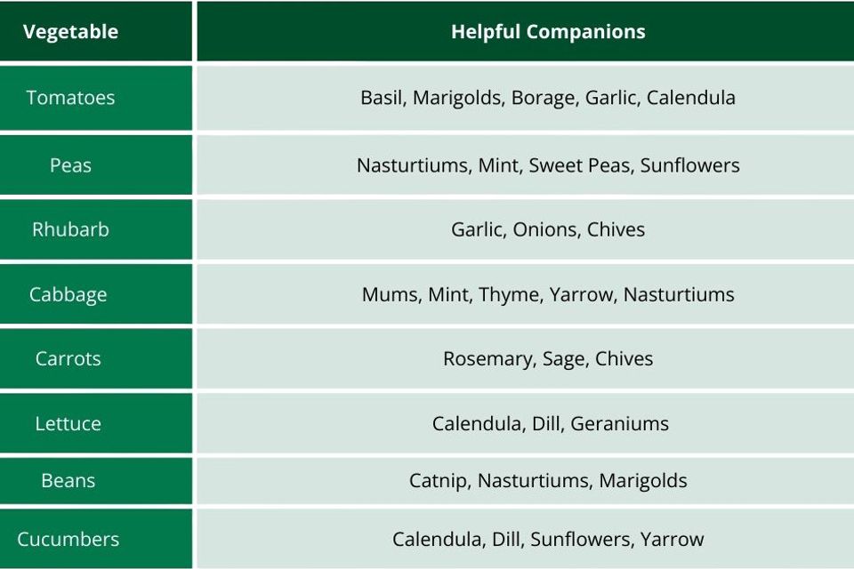 Companion planting guide
