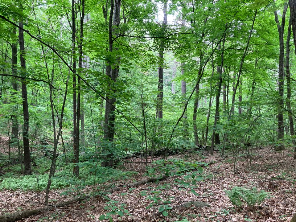 Svt highland ridge
