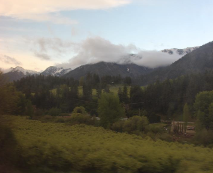 Train blog 8