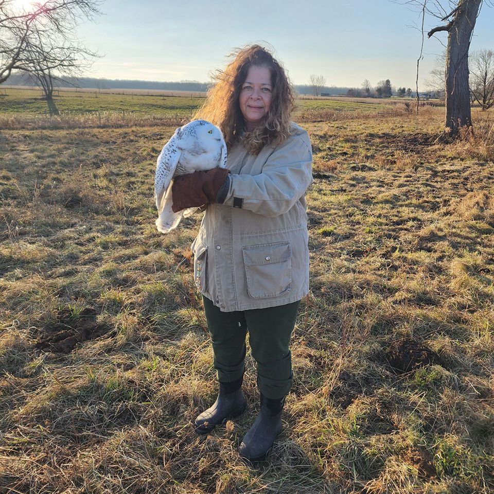 Owl Wild Kritters of Niagara County NY