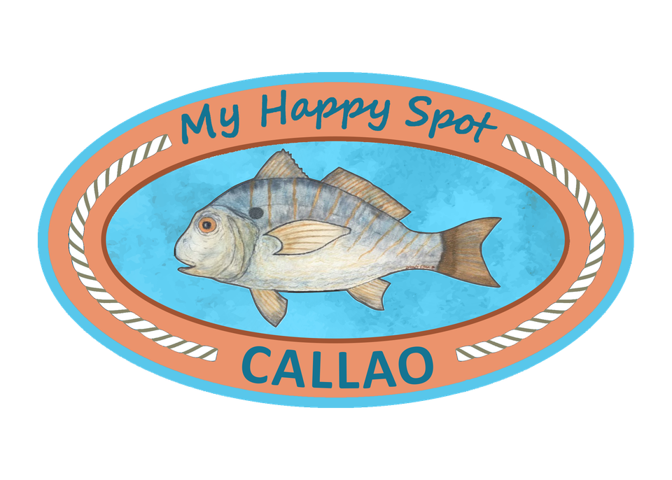 Mhs callao full color