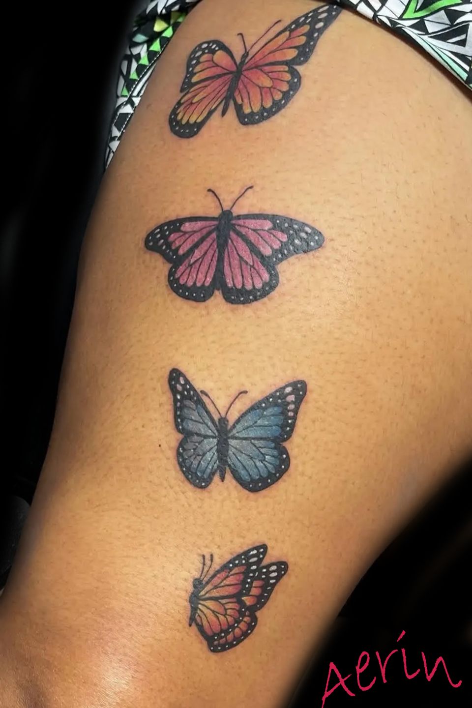 Aerin butterflies