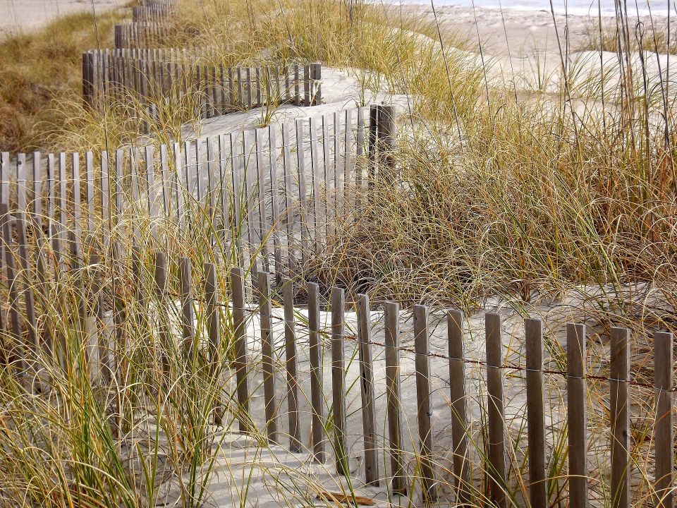Kershnek grasses g7cca4ac25 1920