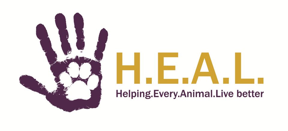 Heal horizontal large