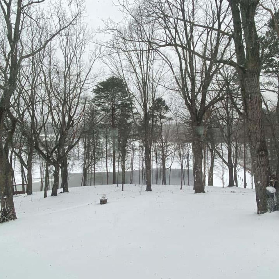 Photo by cathy rayfield taylor