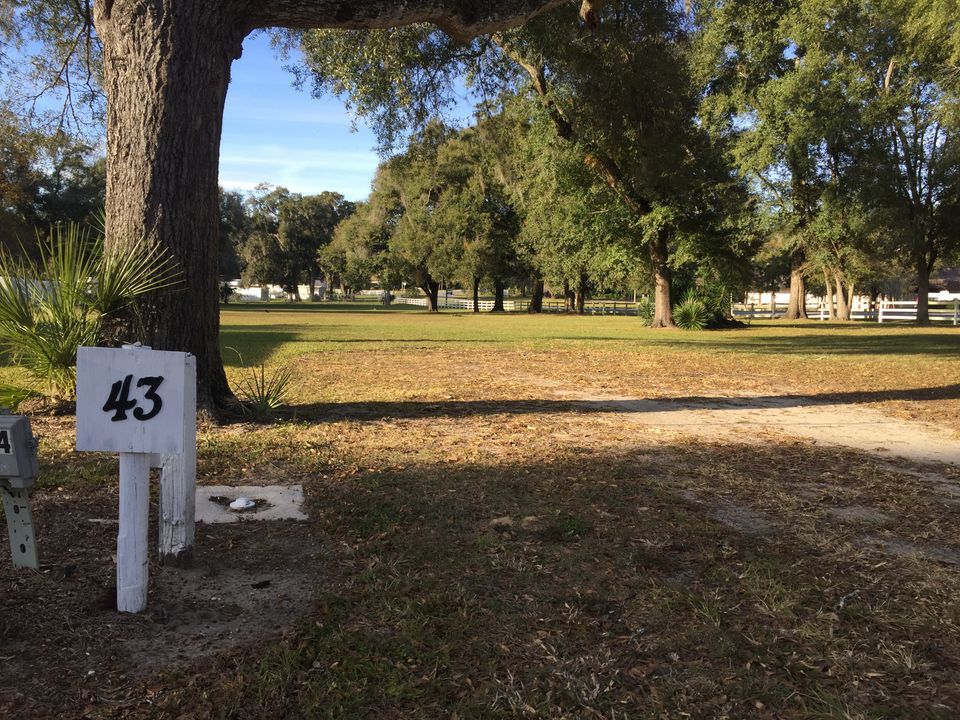 Lot 43