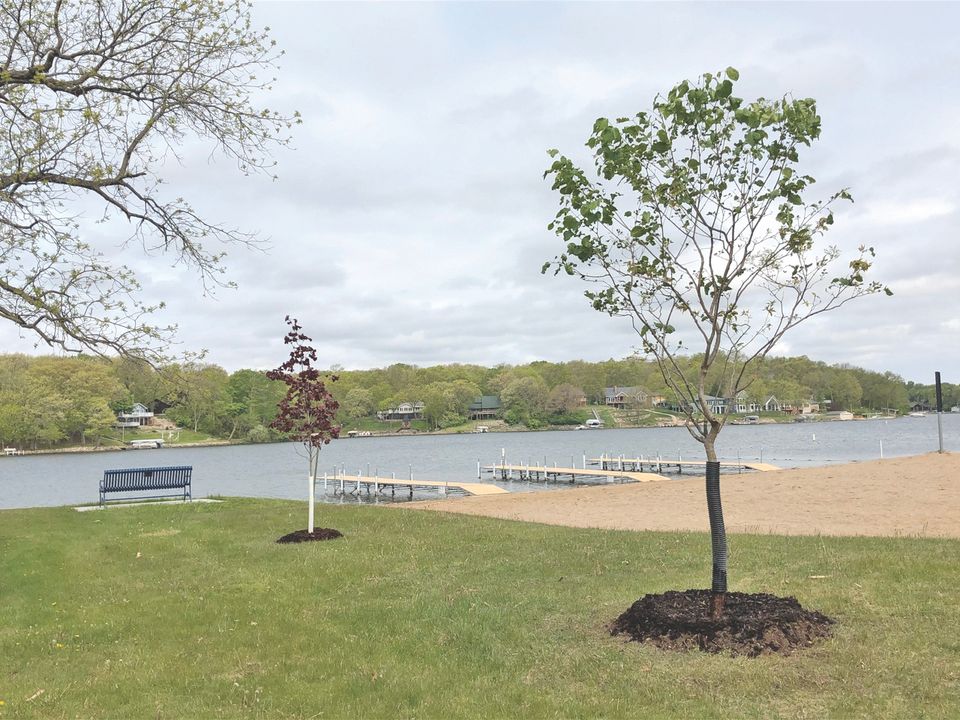 Finaltrees
