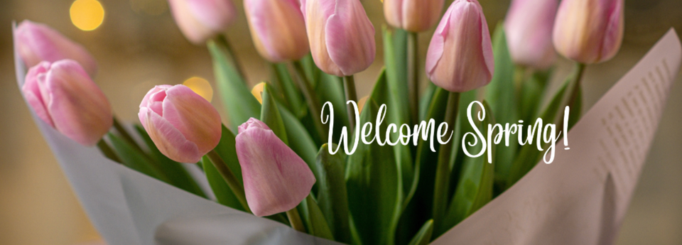 Screen shot 2025 03 06 at 2.52.27 pm