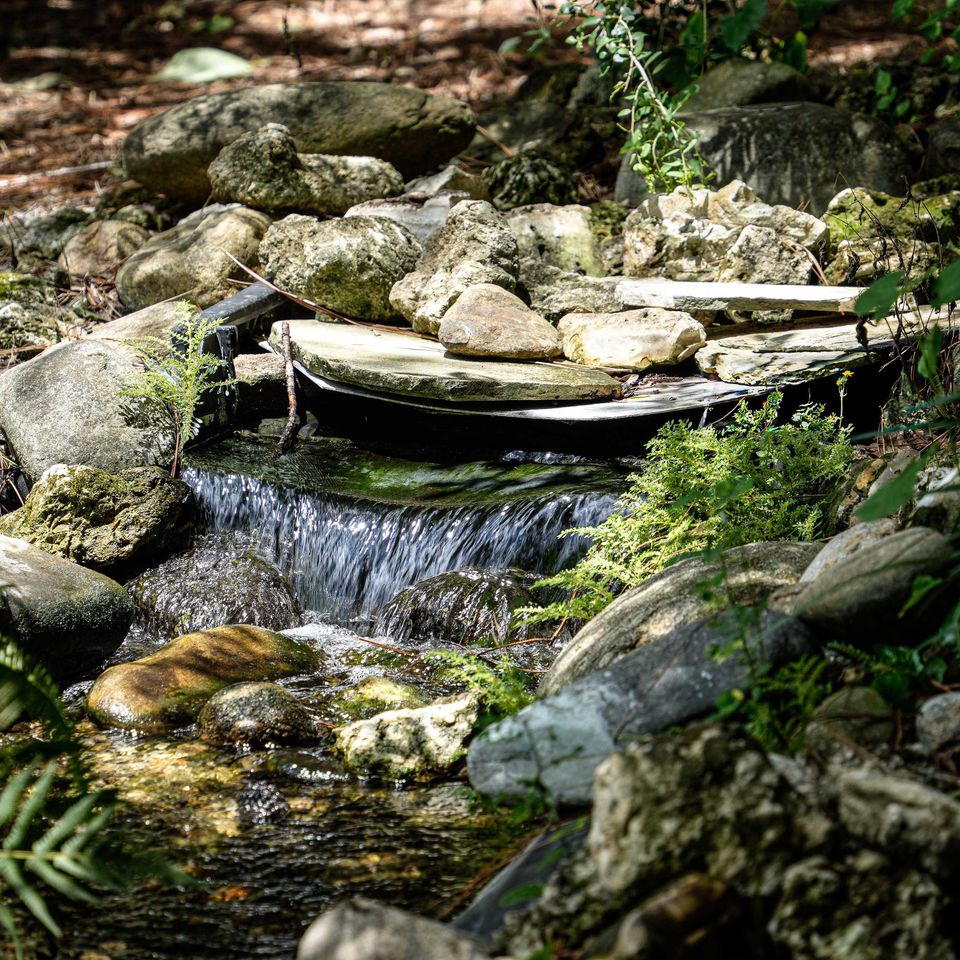 Sholom park   ocala