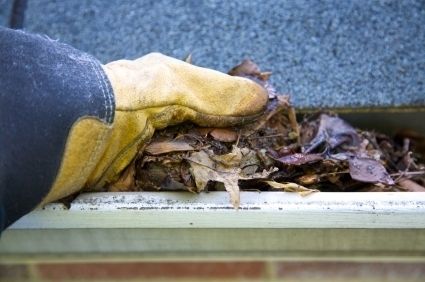 Cleangutter