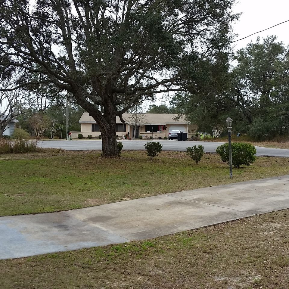 5 cedar front yard20180206 20452 1jtgv2h