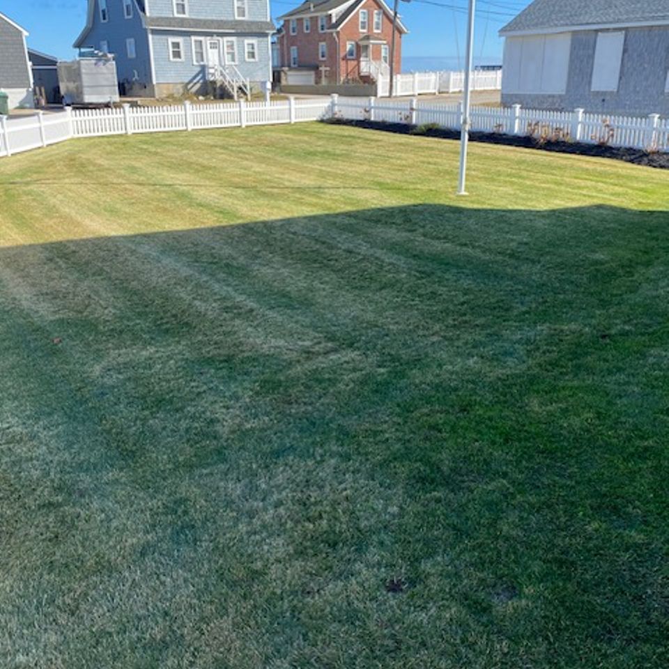 Sullivan lawn mowed 1
