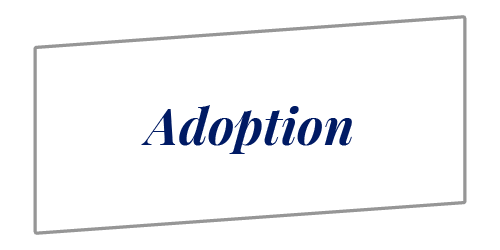 Icons adoption