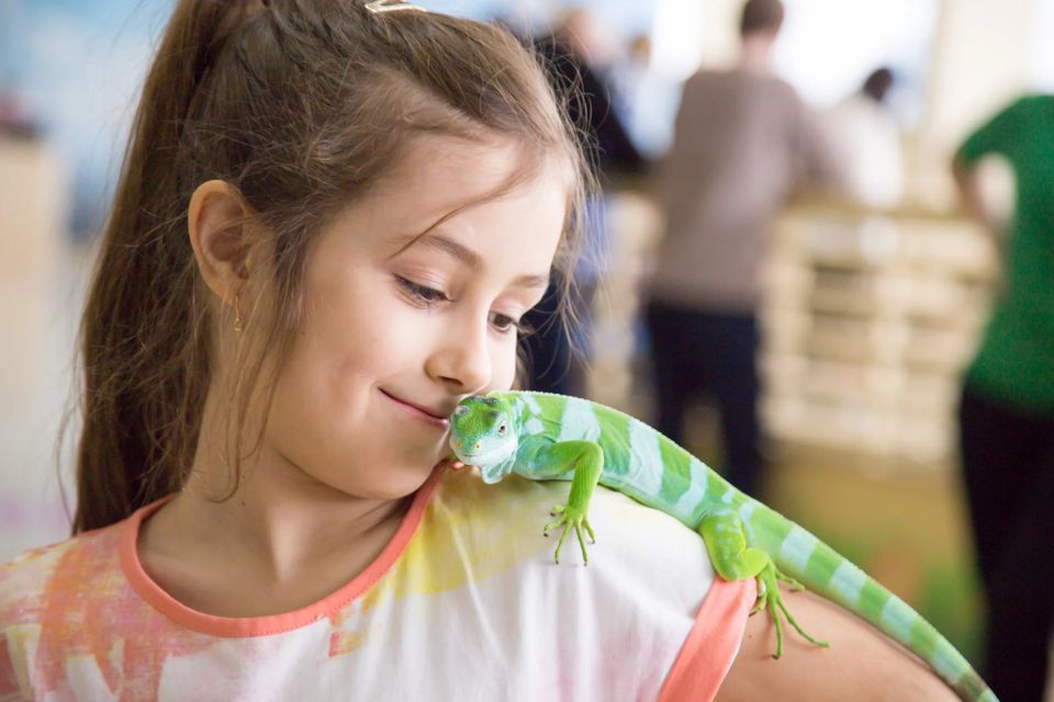 Mobile Petting Zoo Parties