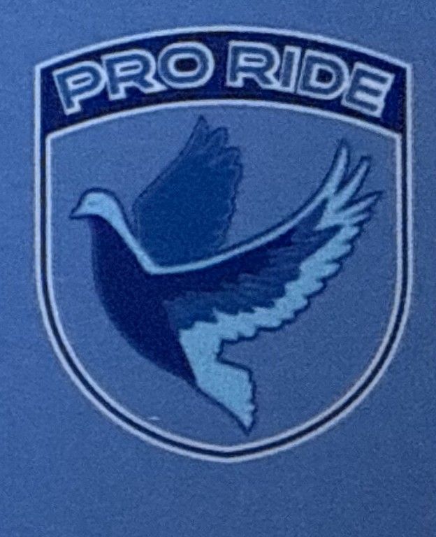 Pro ride medical transportaion