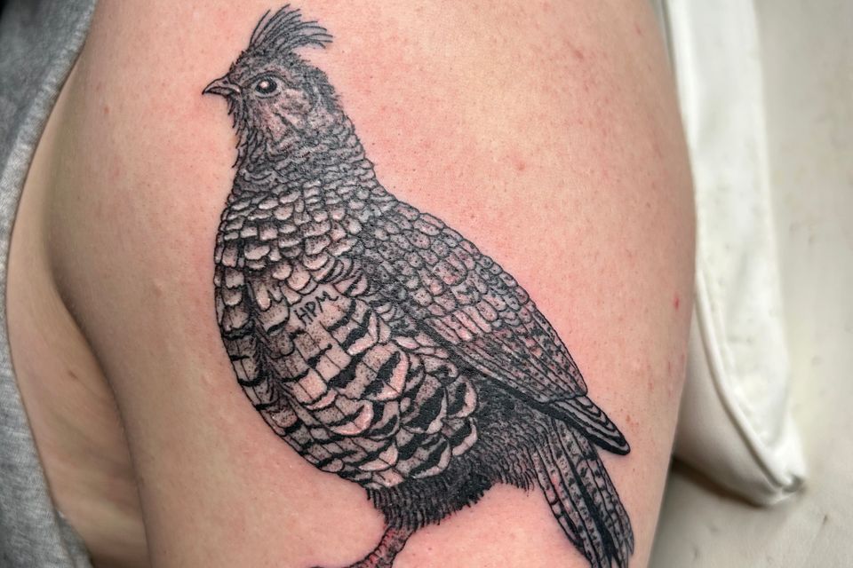 Img 0922