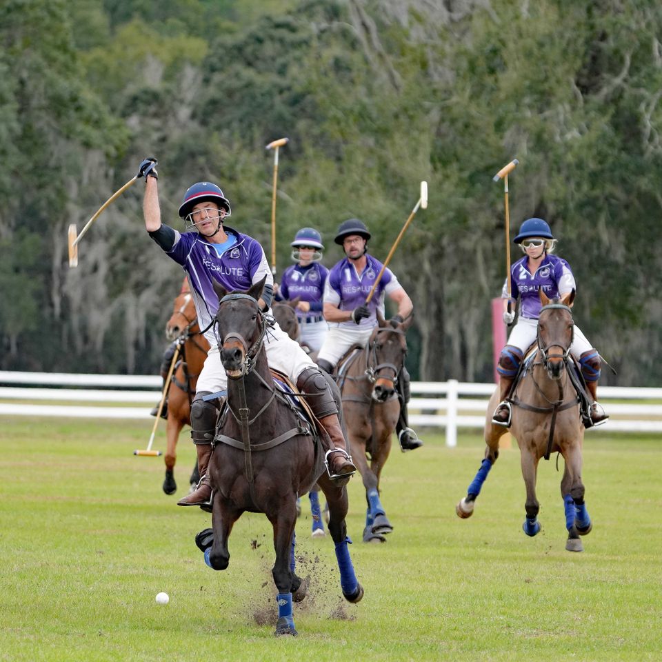 Polo 2