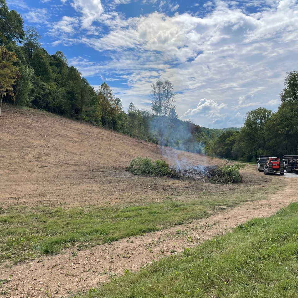 landClearing