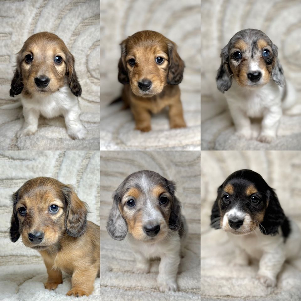 467f5b02 a73f 4be3 93f1 3fb5c14ea028