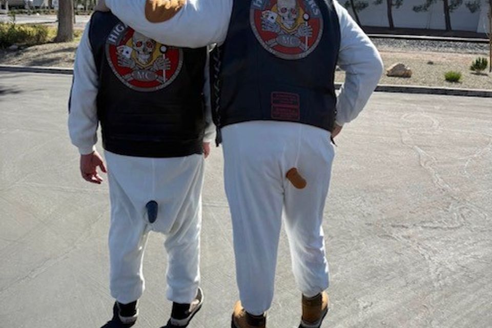 Dog suits
