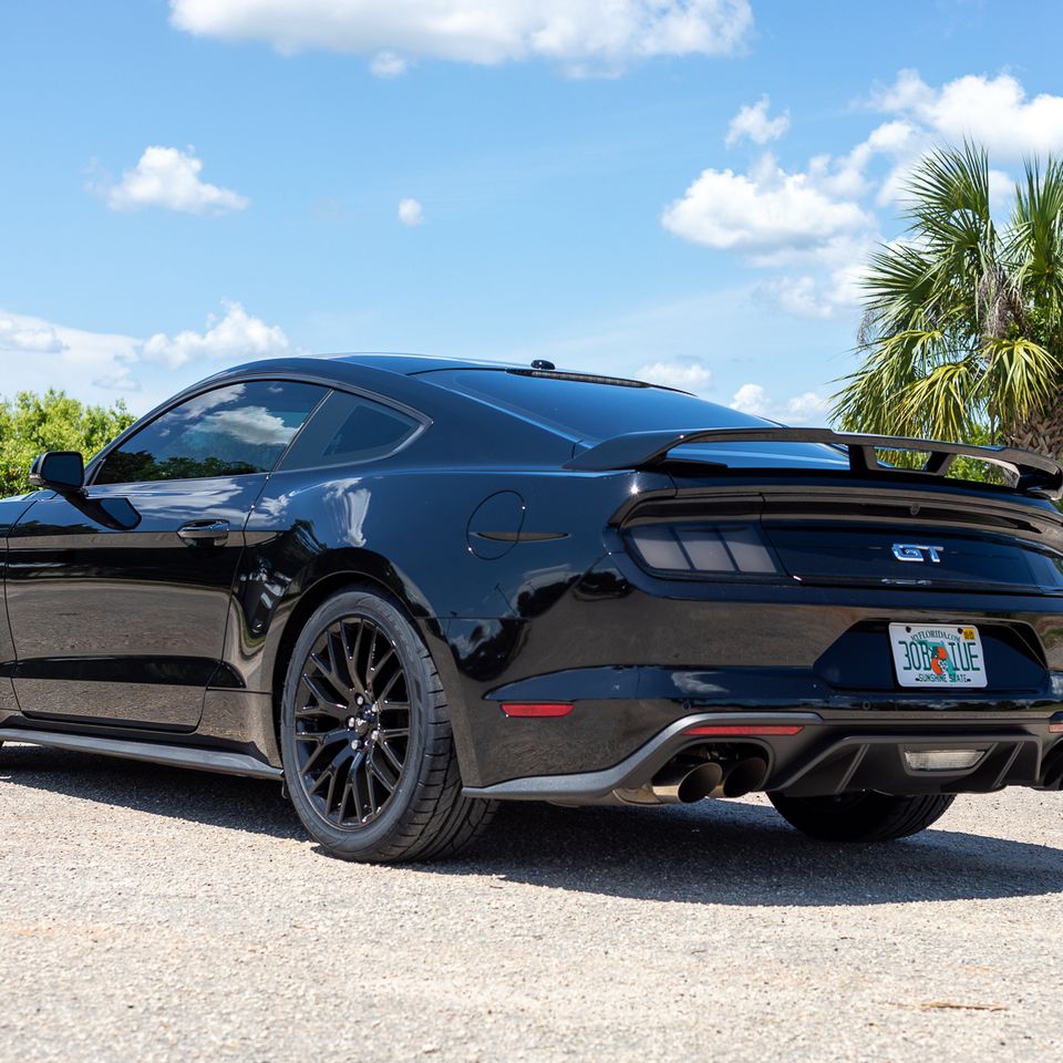 Mustang 3