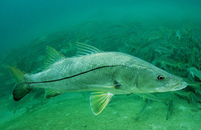 Screenshot 2026 02 24 at 10.28.32 am