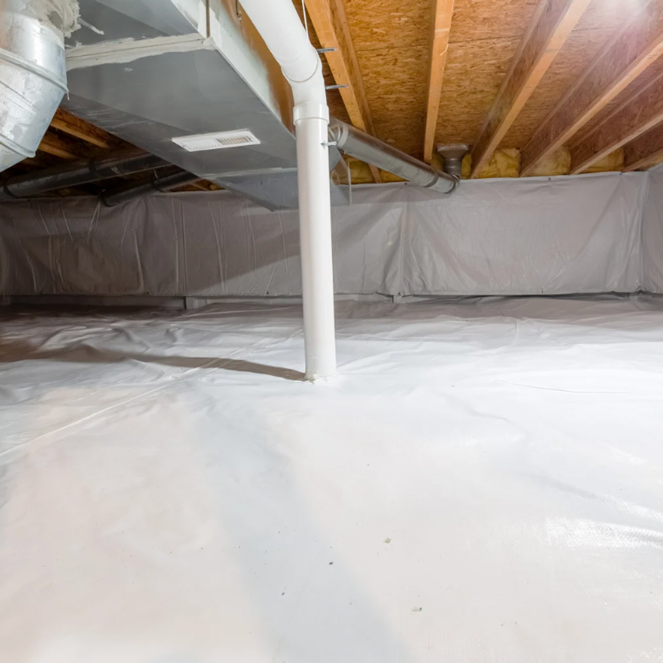 Screen shot 2026 02 09 at 1.11.18 pm