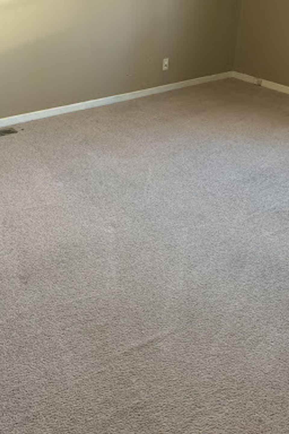 Carpet24