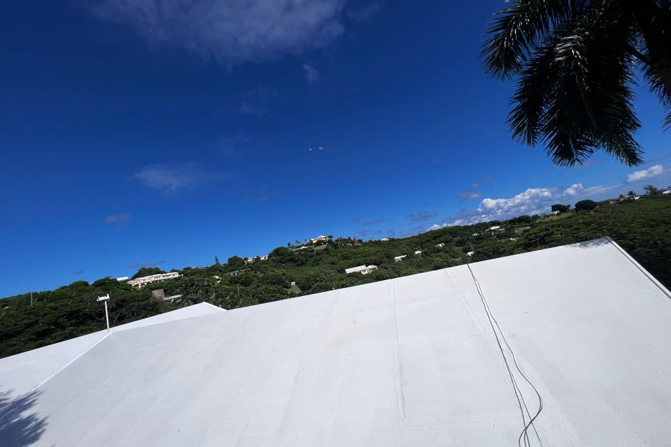Img 7451