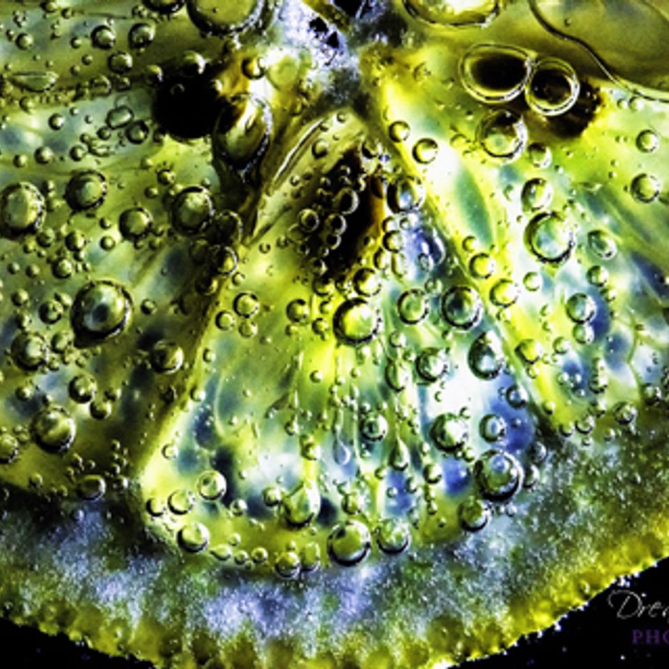 Molecular 01