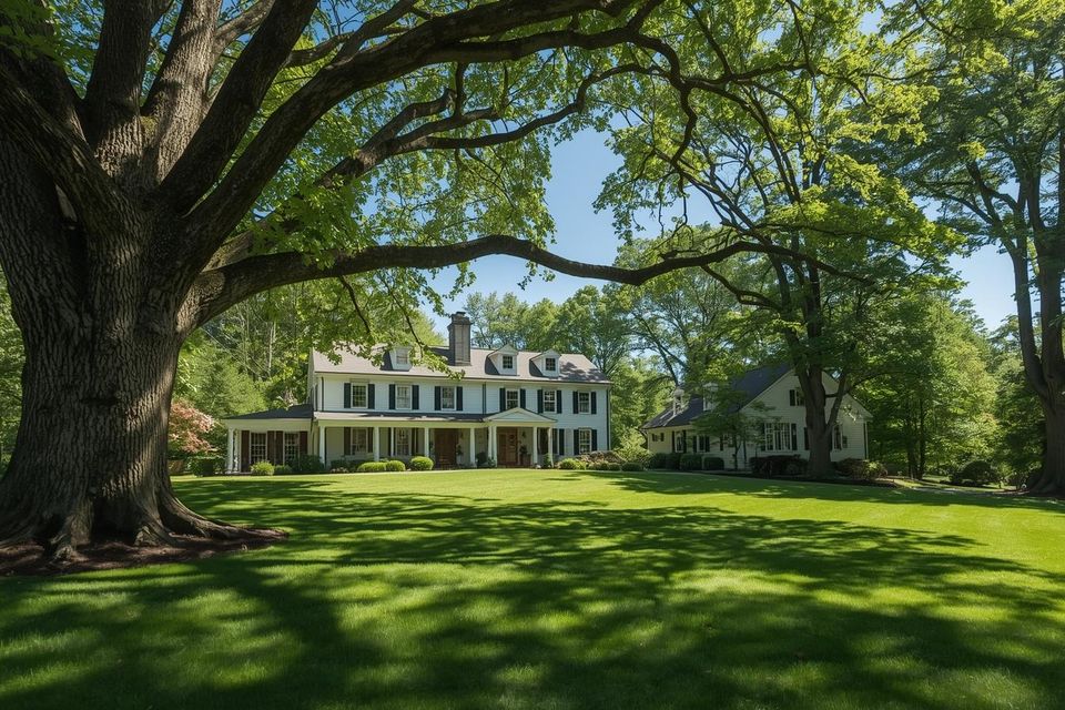 Living in south windsor means enjoying  spacious lots  and the beauty of mature oaks  maples  and ornamentals